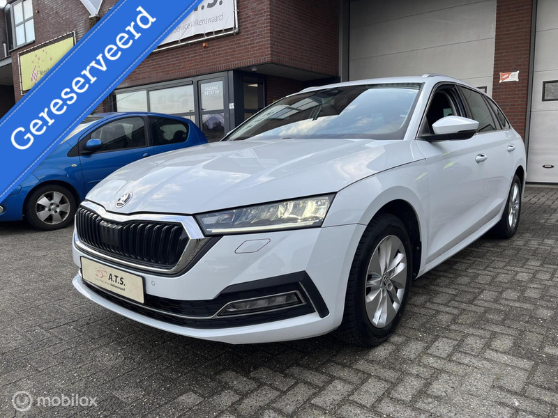 232813601-100-15.jpg
