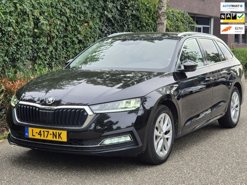 597919169-100-15.jpg