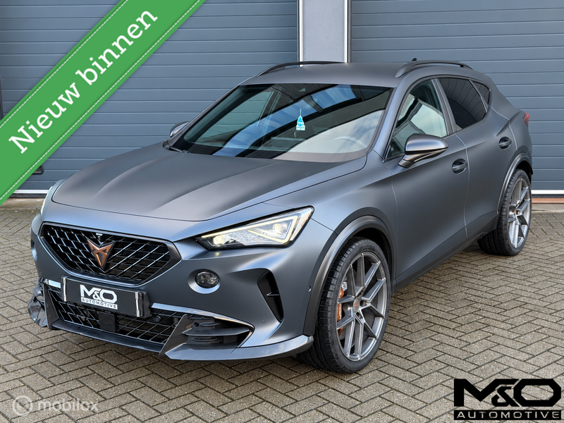 980342908-100-15.jpg
