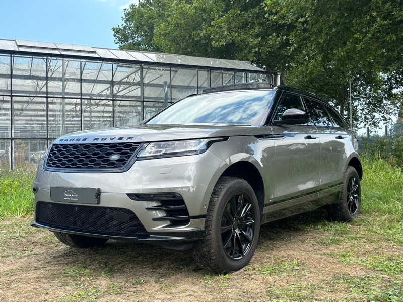 102772025-100-15.jpg