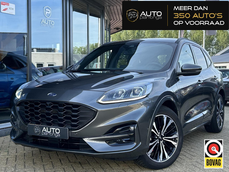211451818-100-15.jpg