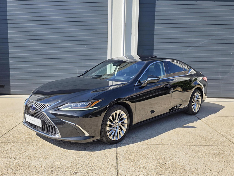 383097000-100-15.jpg
