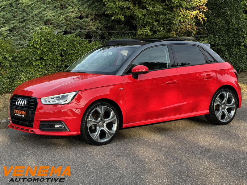 202984055-100-15.jpg