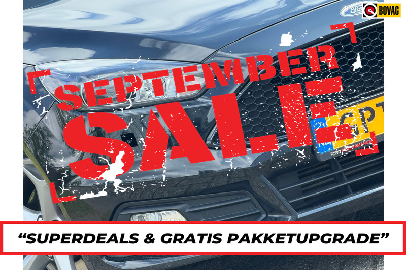 270985630-100-15.jpg