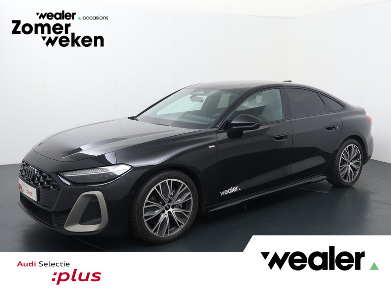 787461271-100-11.jpg
