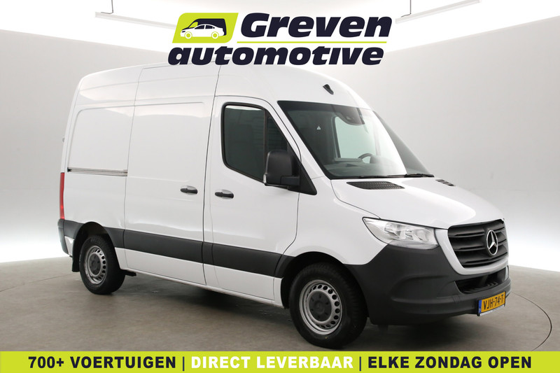 202565562-100-15.jpg
