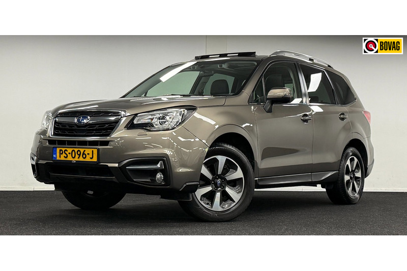 228098717-100-15.jpg