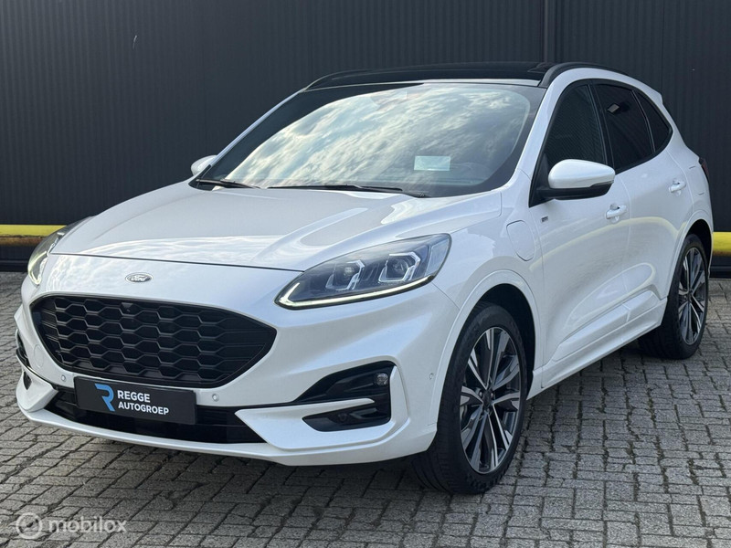 926062487-100-15.jpg