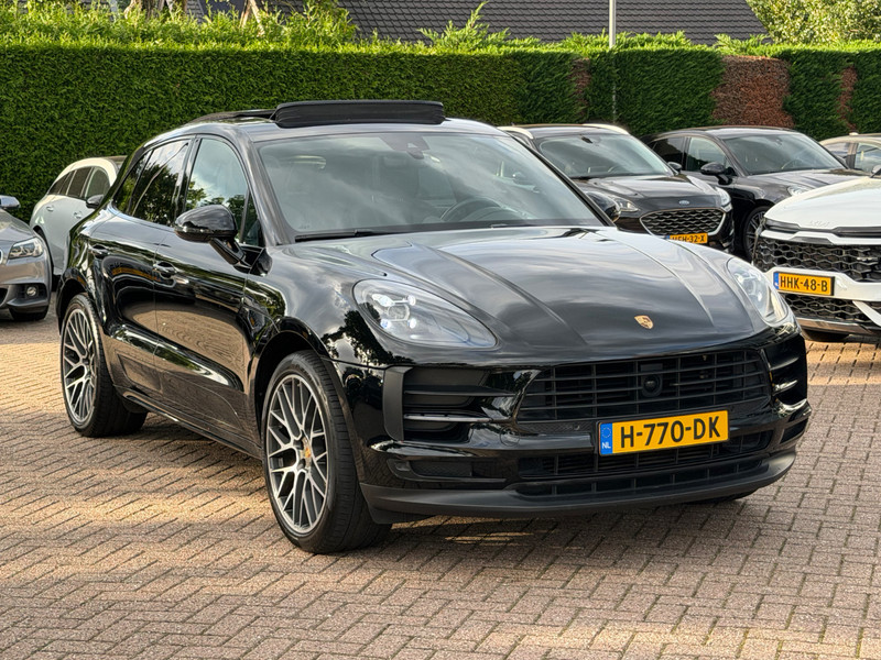 799700669-100-15.jpg