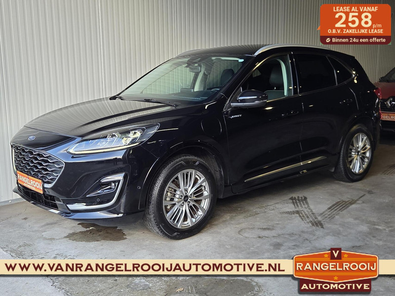 561358046-100-2.jpg