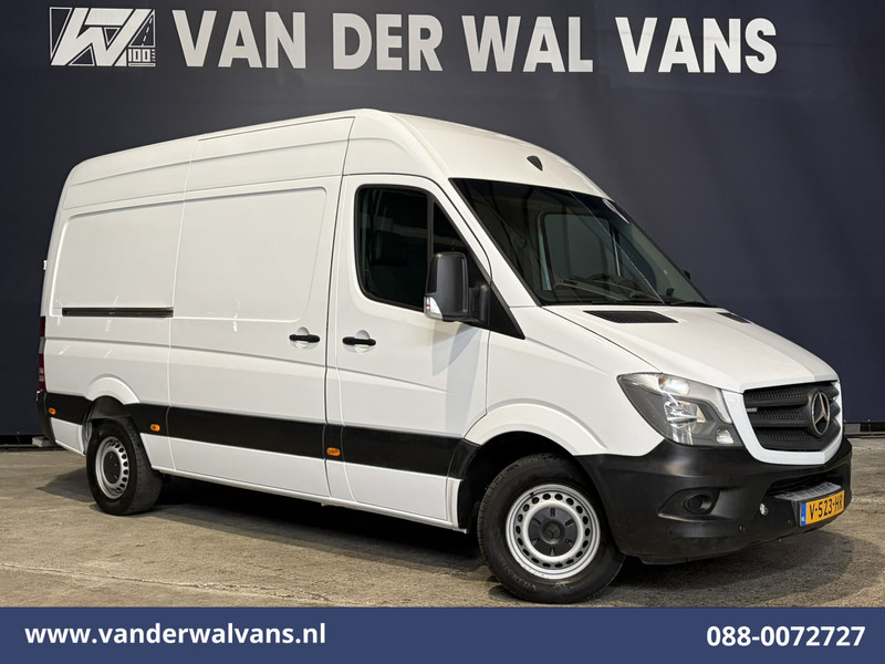 350554808-100-15.jpg