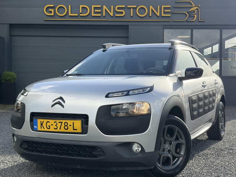 258416713-100-15.jpg