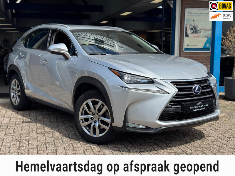 613247164-100-15.jpg
