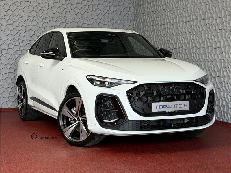 852719330-100-15.jpg